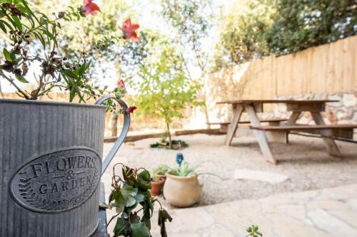 Hostal Netta's Place