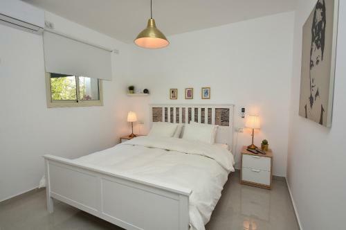 Lodge Adios- Suite In The Galilee