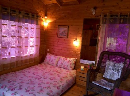 Cabin In The View