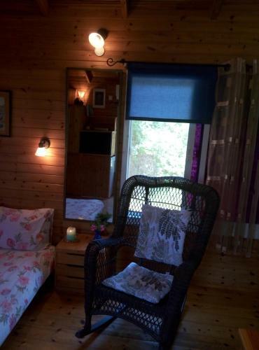 Cabin In The View
