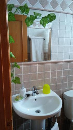 Hotel Hostal San Roc
