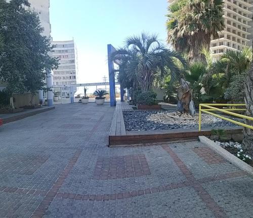 Colony Beach Hotel Apartment Tel Aviv Bat Yam 13