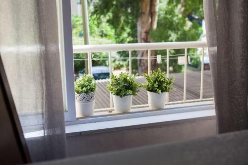 Apartment S&l For Family