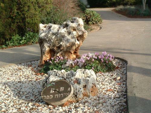 Hostal Kibbutz Gadot Guesthouse