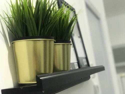 Apartamento Best Central Place Haifa - Akko - Beach