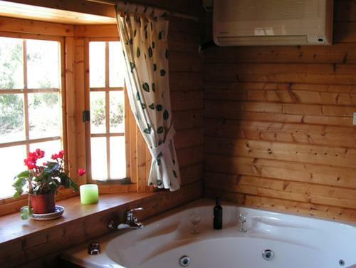 Lodge Cabin 81