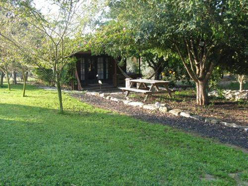 Lodge Cabin 81