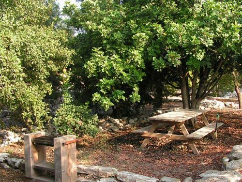 Lodge Cabin 81