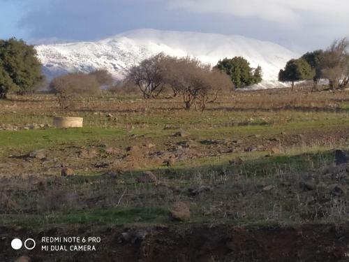 Hostal Belev Odem