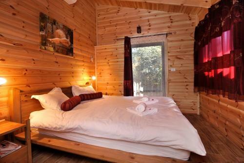 Lodge Segev Cabins