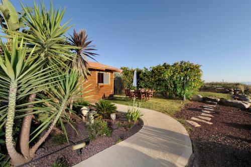 Lodge Segev Cabins