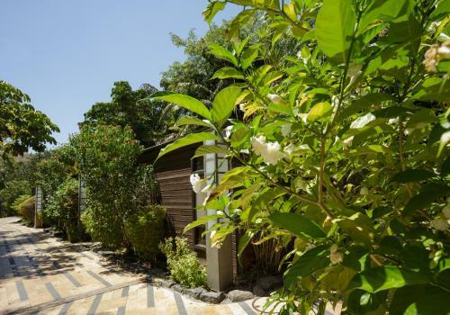 Hotel Spa Village