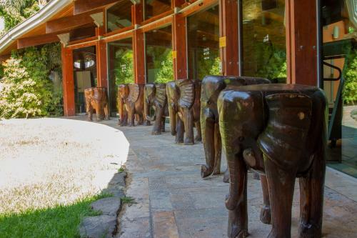 Hotel Spa Village