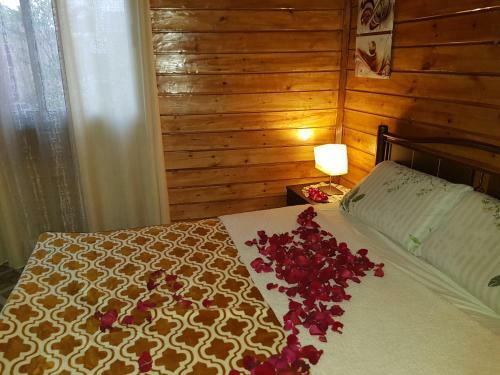 Hostal Wooden House In Eilat