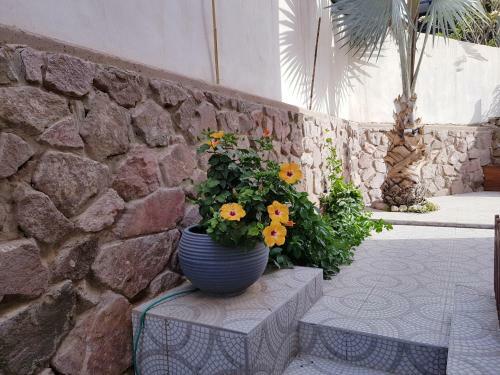 Hostal Wooden House In Eilat