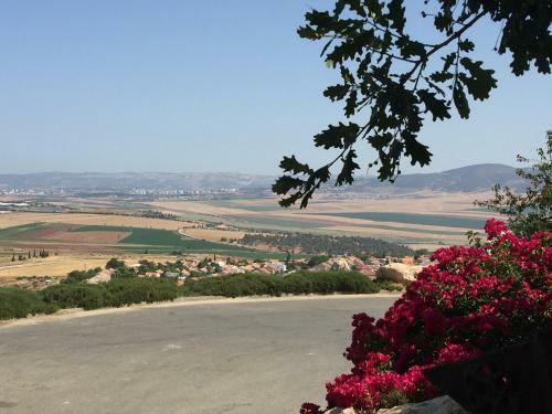 Bed & Breakfast Yaffe Bagilboa