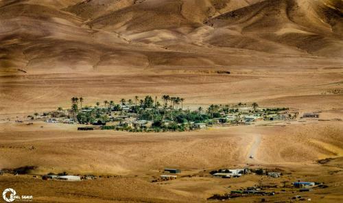 Desert Picture