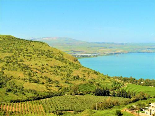 Apartamento Nino Serenity Penthouse