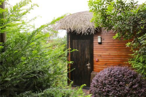 Hostal Chan Town