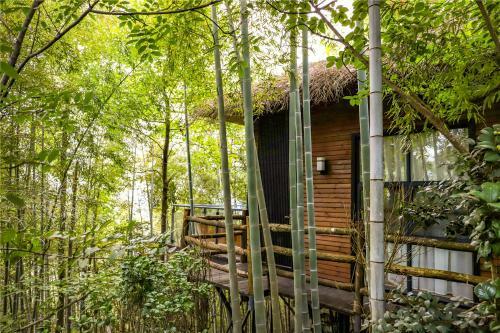 Hostal Chan Town
