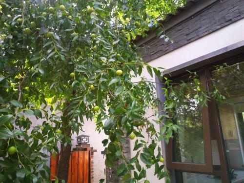 Hostal Beijing Huangtugui Guesthouse