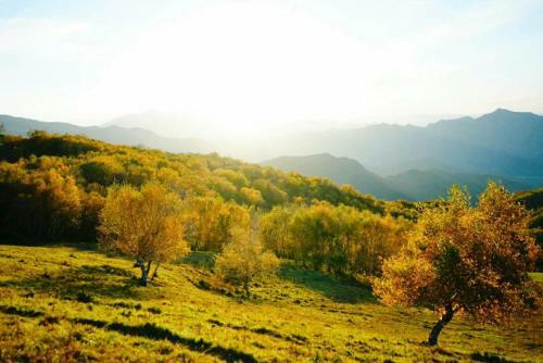 Lingshan�longing To Light Villa