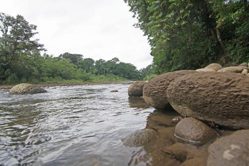 Islas Del R�o Hostel