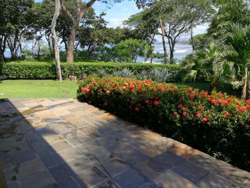 Hostal Oceanfront Gem At La Joya de Lagarto