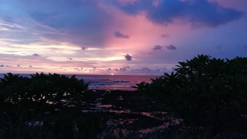 Hostal Oceanfront Gem At La Joya de Lagarto