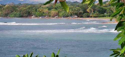 Hostal Oceanfront Gem At La Joya de Lagarto