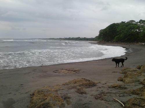 Hostal Oceanfront Gem At La Joya de Lagarto