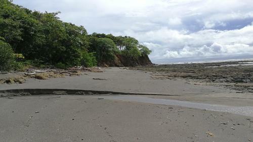 Hostal Oceanfront Gem At La Joya de Lagarto