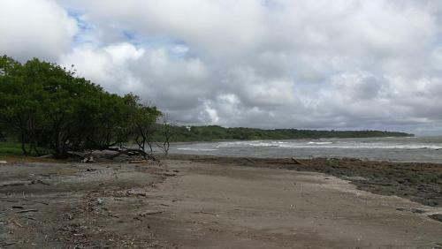 Hostal Oceanfront Gem At La Joya de Lagarto