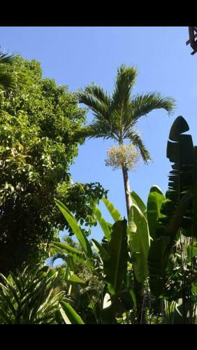 Hostal La Puente Surf House