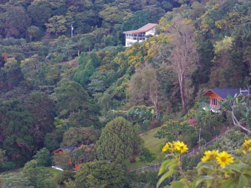 Hostal Helvetico Chalets & Reserve