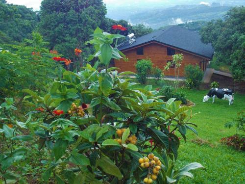 Hostal Helvetico Chalets & Reserve