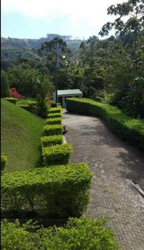 Hotel Cabinas El Bosque Lodge