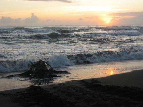 Lodge Casa Grande At Pacuare Reserve