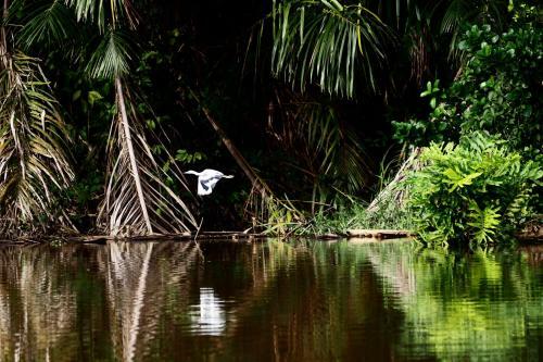 Lodge Casa Grande At Pacuare Reserve