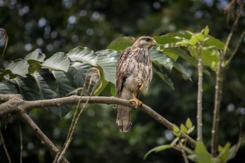 Lodge Casa Grande At Pacuare Reserve