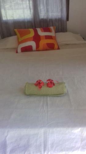 Apartamento Villa de Los Monos