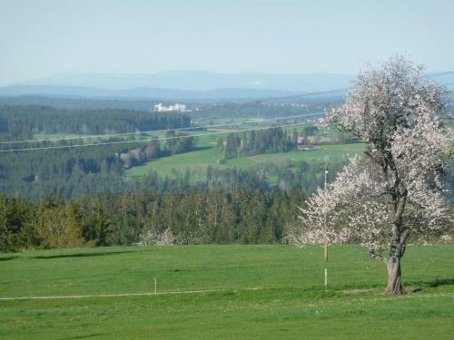 Hotel H�henpension Glash�tte