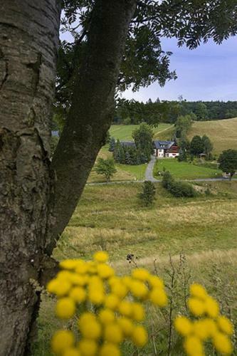 Ferienwohnungen Altenberg Erz 060