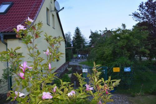 Apartamento Ferienwohnung Mit Kamin Und Gartenblick
