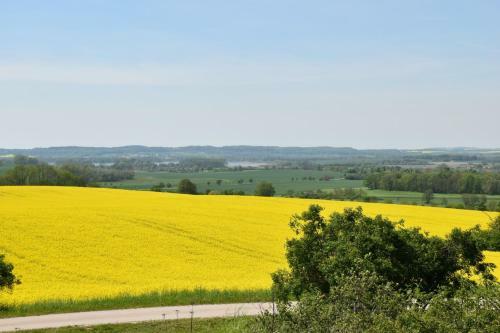 Apartamento Ferienwohnung Mit Kamin Und Gartenblick
