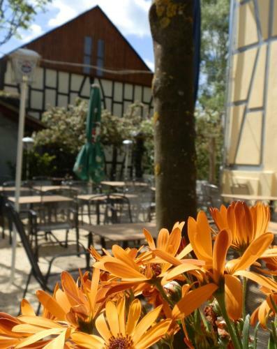 Posada Gasthof D�rsbachh�he