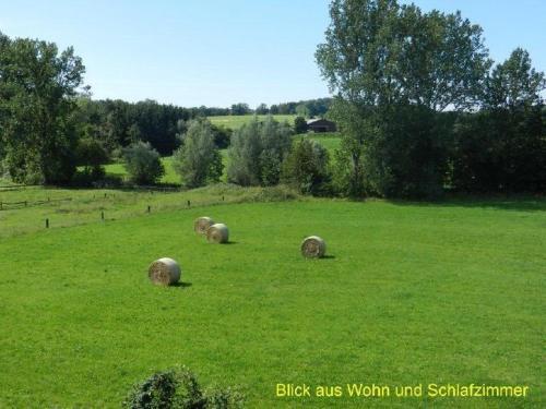 Apartamento Ferienwohnung-im-teutoburger-wald