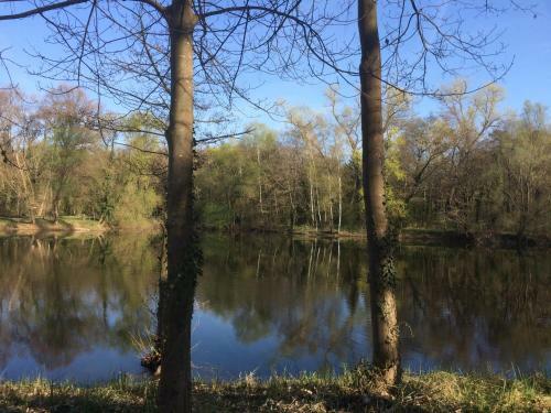 Apartamentos Alte Heimat