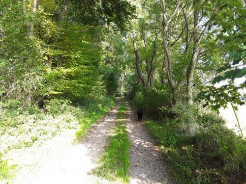 Apartamento P�hl Am Nationalpark Eifel
