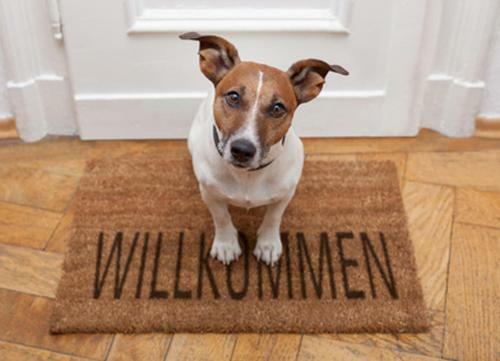 Apartamento Wohnung Sanke Seeblick